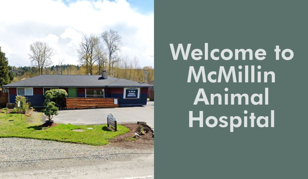 Exterior view of McMillin Animal Hospital with a landscaped front yard.