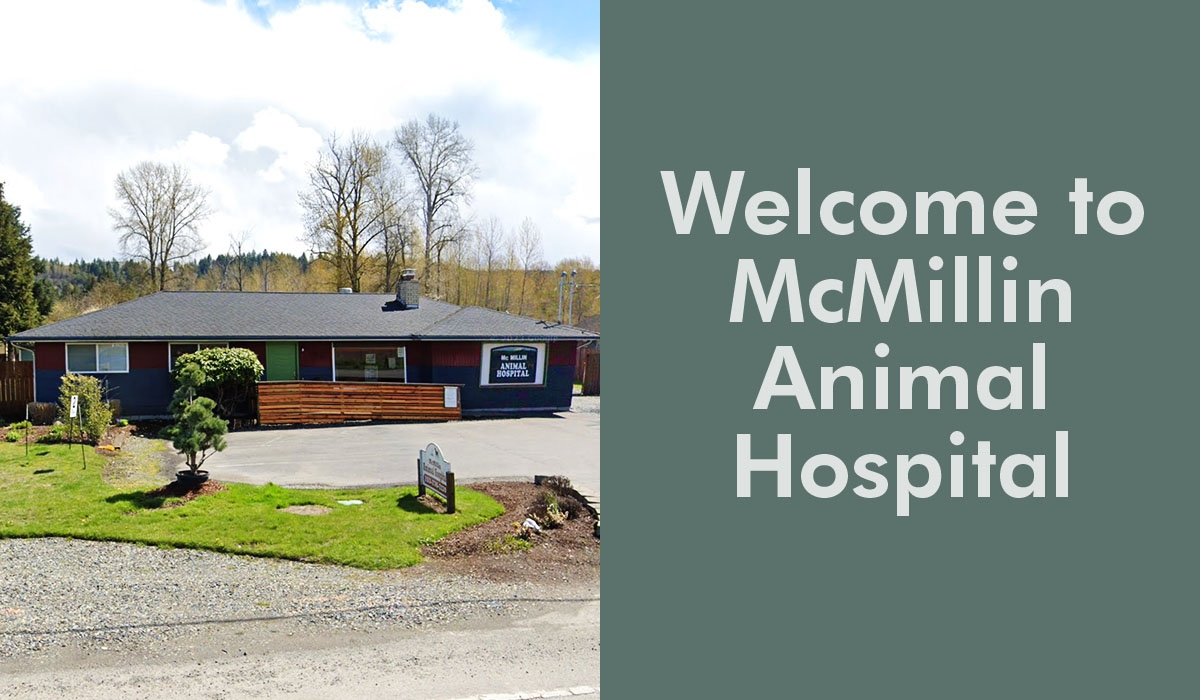 Exterior view of McMillin Animal Hospital with a landscaped front yard.