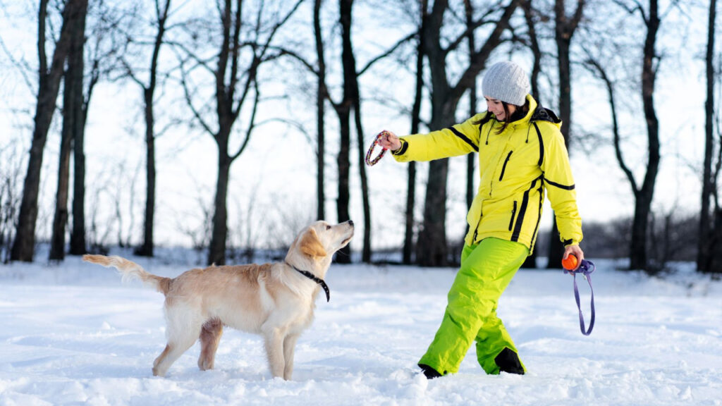 Woman in bright ski suit playing with a golden retriever in the snow.