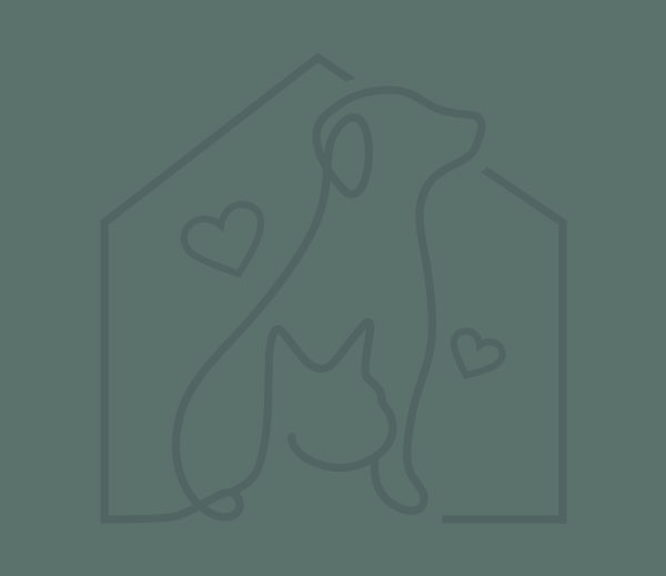 A simple line drawing of a dog and a cat inside a house outline with hearts.