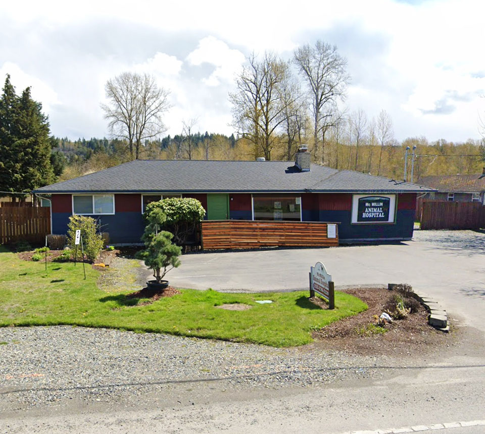 Single-story animal hospital with a large front sign and surrounding greenery.