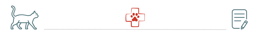 pet insurance guidance for cats and dogs at McMillin Animal Hospital in Orting